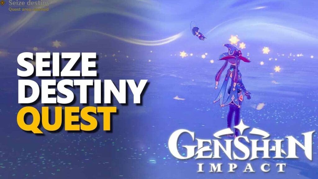 Seize Destiny Genshin Impact