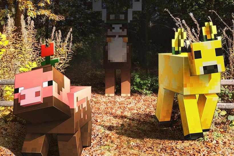 Life Sized Minecraft Place