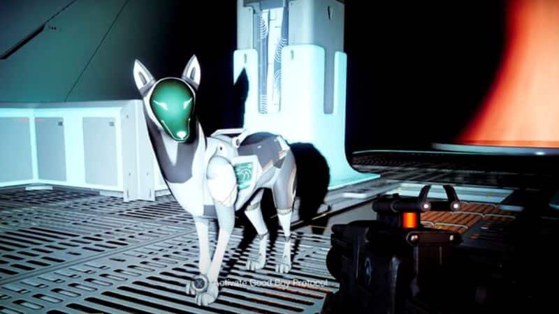 How To Get The Dog In Destiny 2