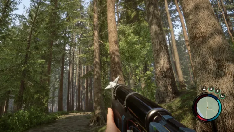 Sons of the Forest Shotgun Location 2023