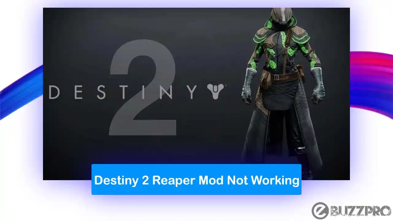 Destiny 2 Reaper Mod 