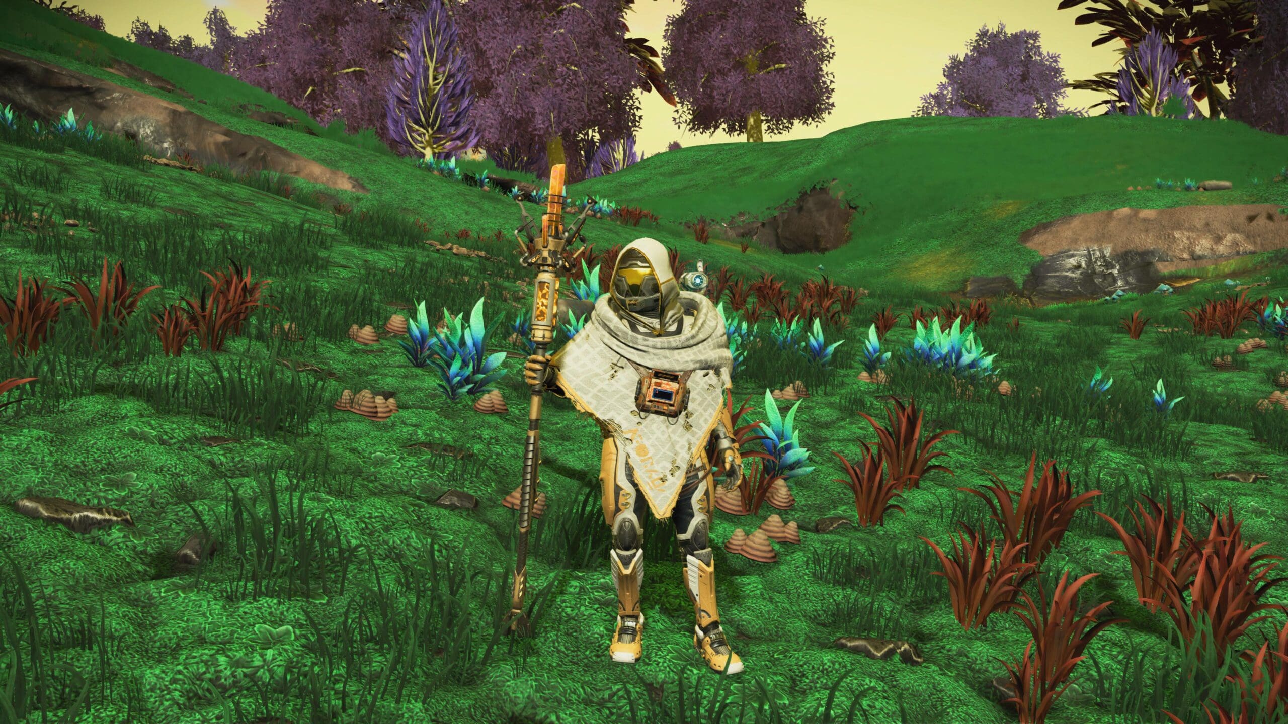 No Man's Sky Staff