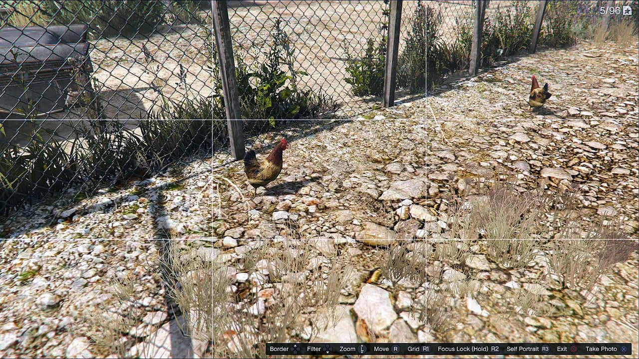 GTA 5 Hen Location 