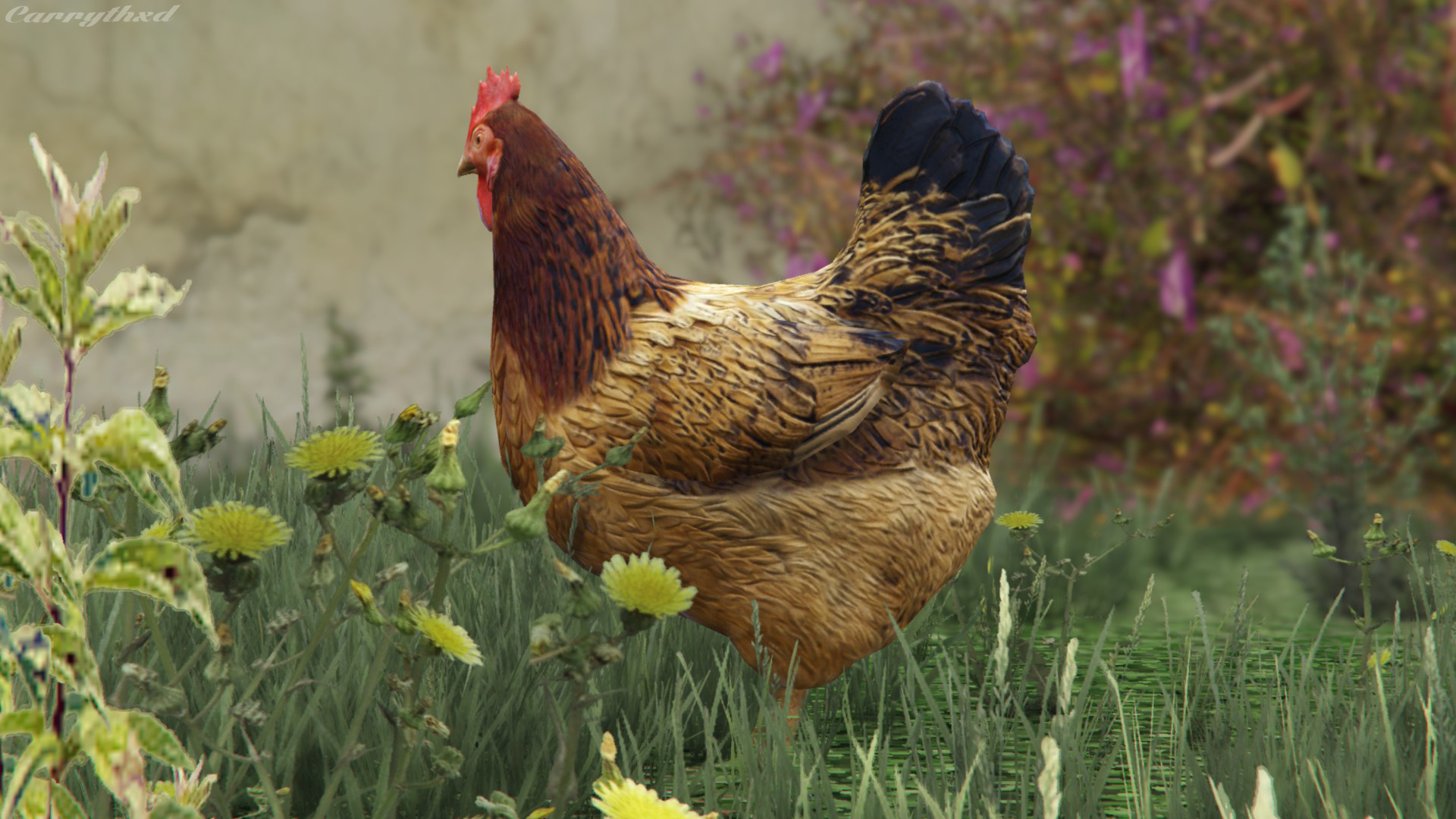 Where To Find GTA 5 Hen Location Wildlife Photography Challenge! Ga